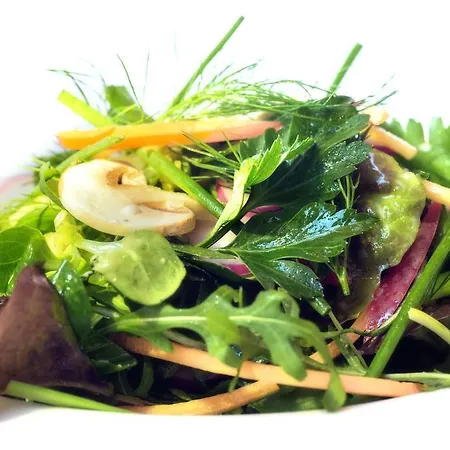 Brueckenwirt 4* Sankt Johann im Pongau